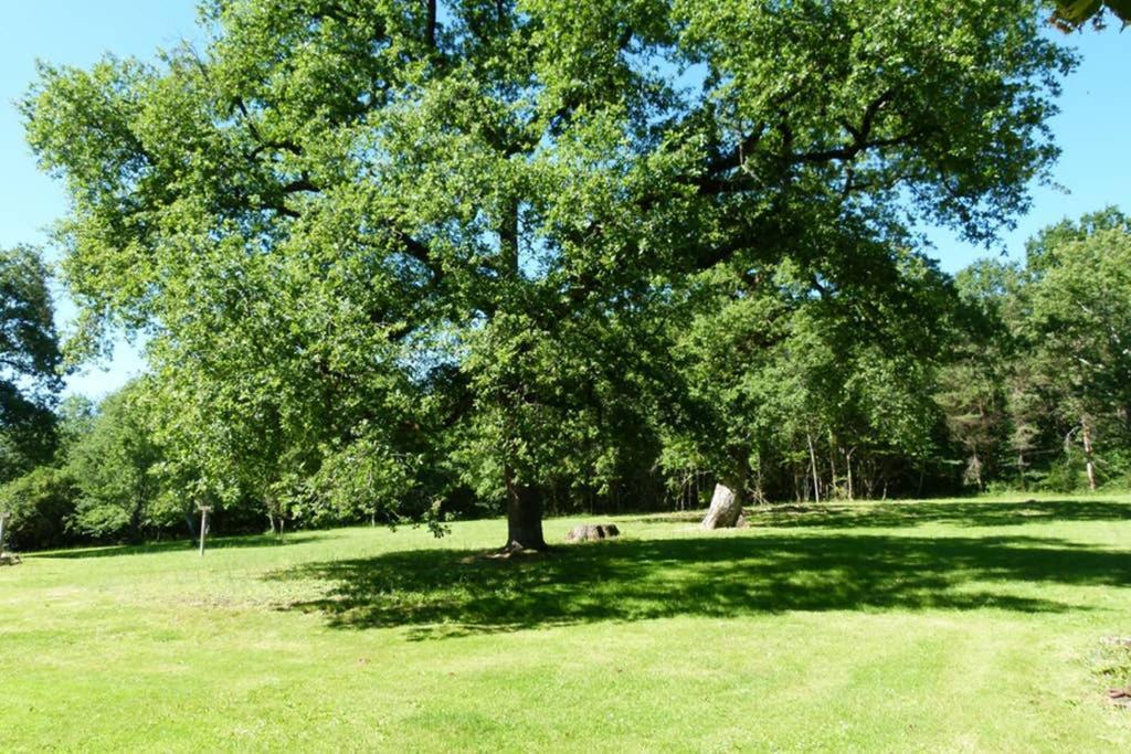Gite En Brenne Les Chenes Merigny Bagian luar foto